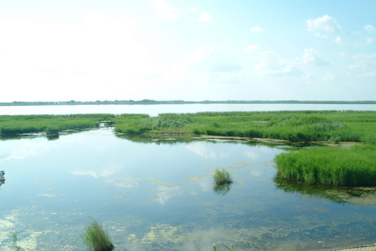 大庆湿地