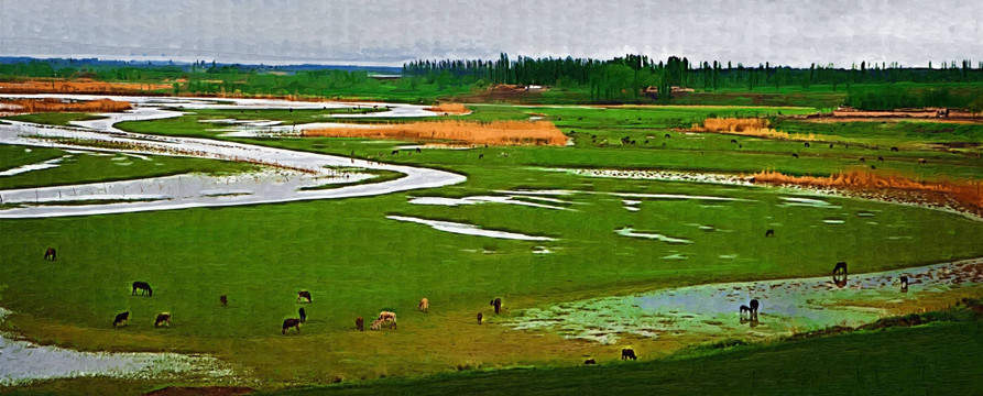 风景 油画 湿地（未分层）
