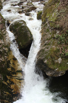 青山绿水