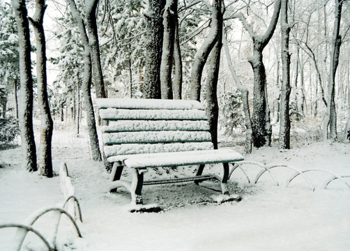 雪后的公园