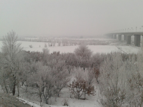 冬天大桥下