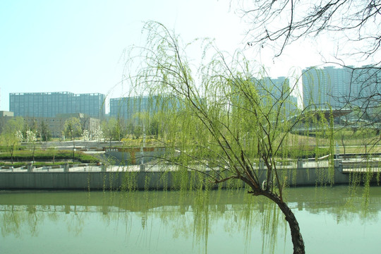北京庆丰公园