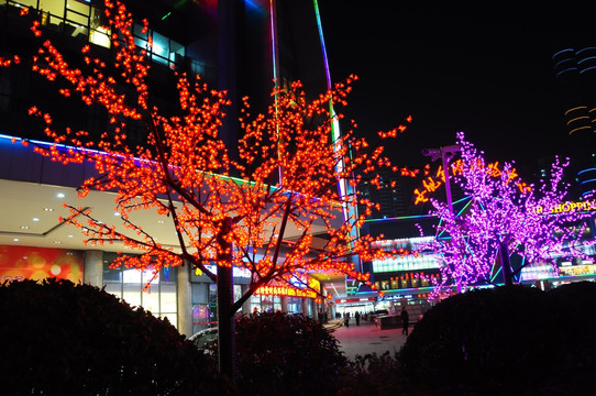 合肥滨湖新区夜景