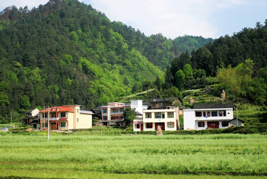 益阳市 山区村庄