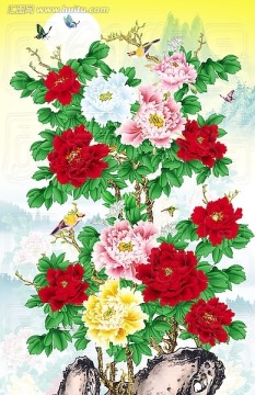 牡丹花 墙画 壁纸