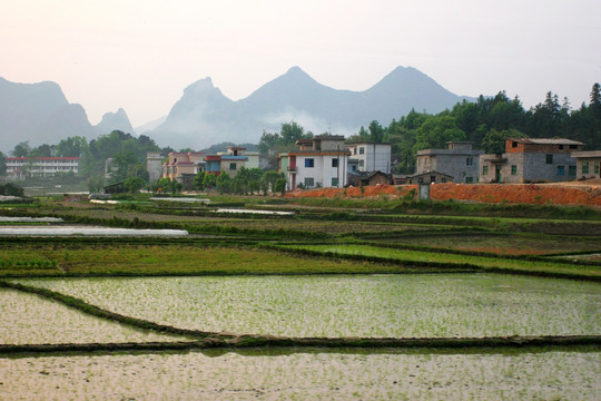 桂林市郊风光