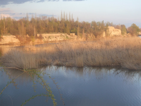 伊犁湿地