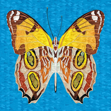 裝飾畫(huà) 無(wú)框畫(huà) 油畫(huà) 蝴蝶