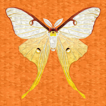 裝飾畫(huà) 無(wú)框畫(huà) 油畫(huà) 蝴蝶