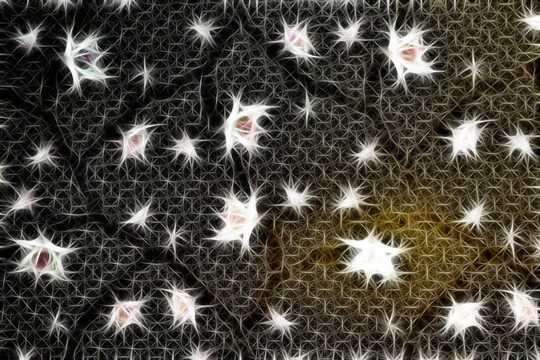 抽象畫
