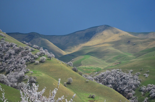 风满山