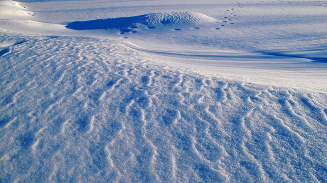 雪地