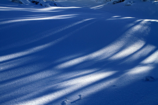 雪林