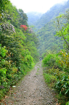 山道