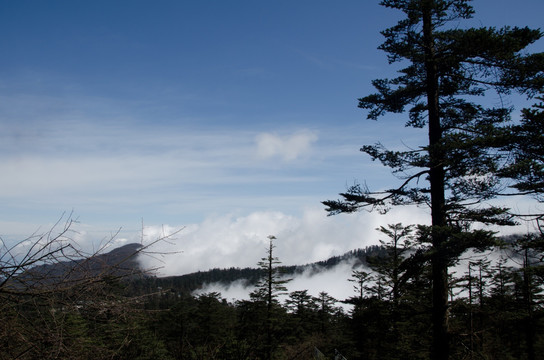 峨眉山风光