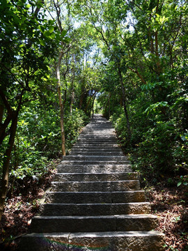 登山道