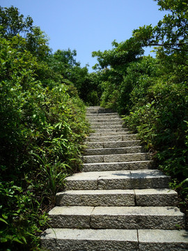 登山道