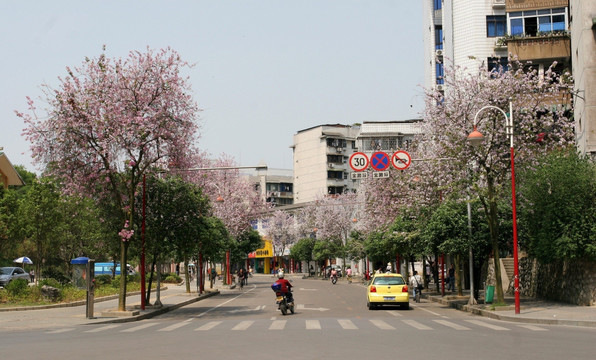 广西柳州 街景