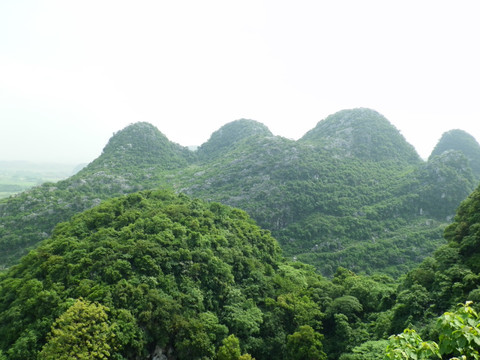 青山 郁郁葱葱