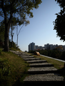 登山道