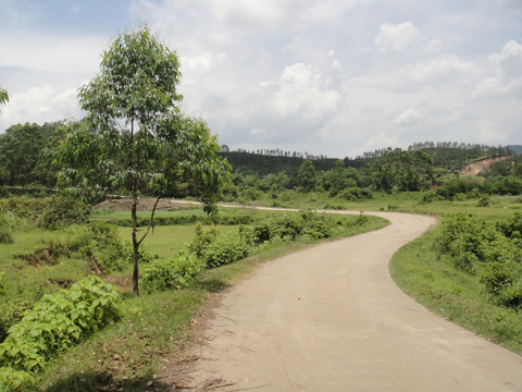 乡村小路