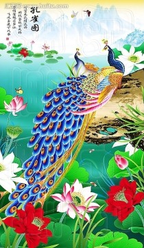 荷花 荷花圖片 孔雀