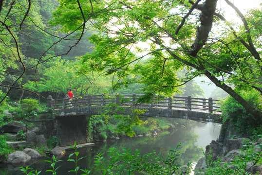 青山绿水间