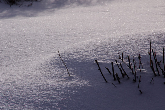 雪原