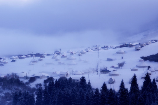 雪中村庄