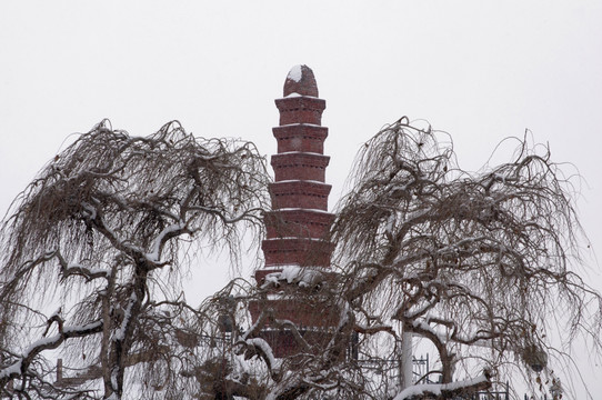 雪中红山塔