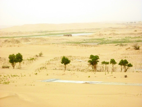 南疆沙漠绿洲