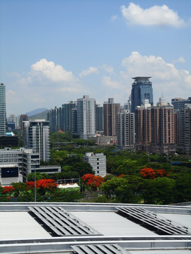 深圳中心区CBD（非高清）