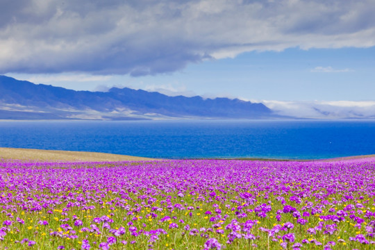 草原湖泊