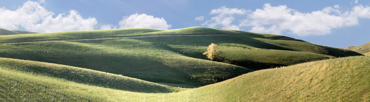 高山草原（超大画接片）