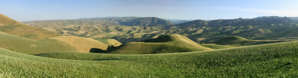 高原草场