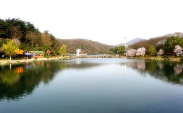 南京珍珠泉风景