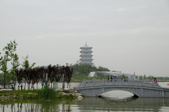 世园会风景