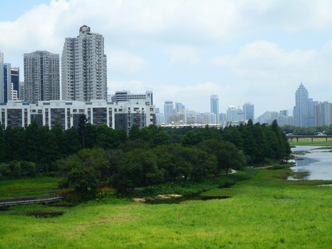 深圳建筑群