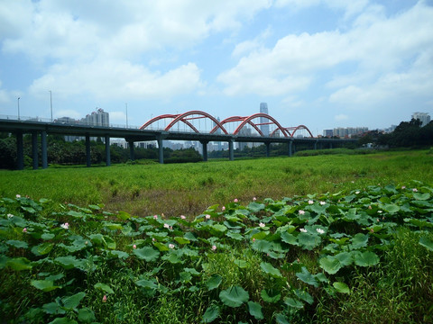 深圳芙蓉桥