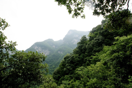 陕西山阳天竺山国家森林公园