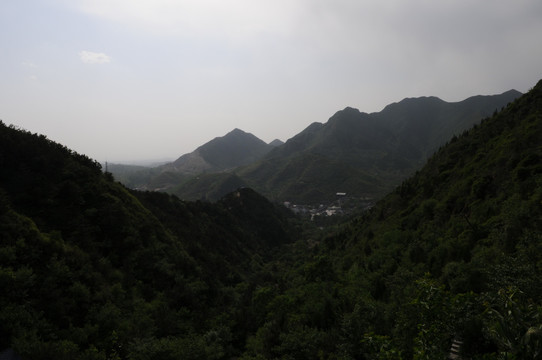 青山绿树