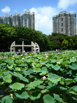 湖畔建筑