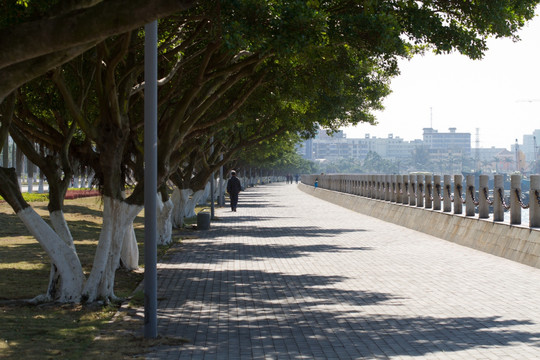 防城港西湾海堤步道