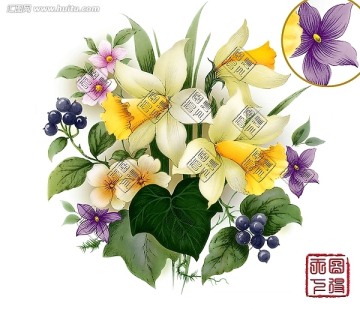 黃花（通道分色）