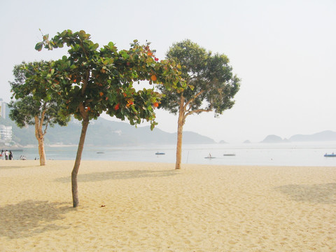 香港浅水湾