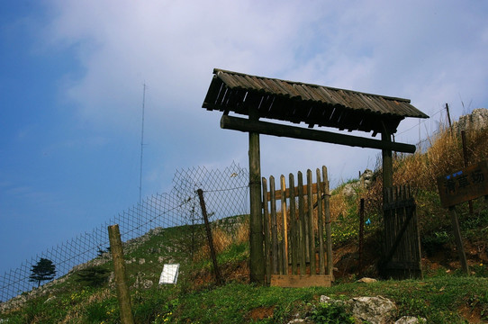 百里荒山楂树文化园