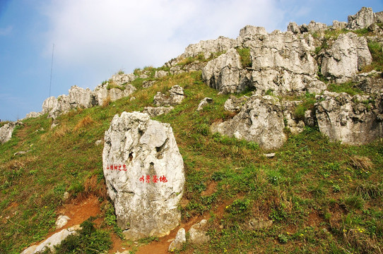 百里荒山楂树文化园