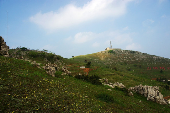 百里荒山楂树文化园