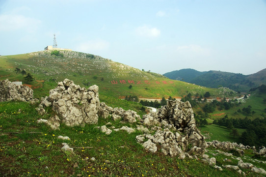 百里荒山楂树文化园