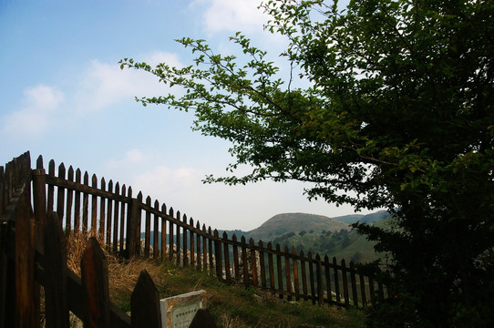 百里荒山楂树文化园